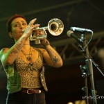 0016 Punk In Drublic Festival